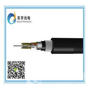 供应中卫GYTA-24B1光缆厂家供应高清大图-一步电子网